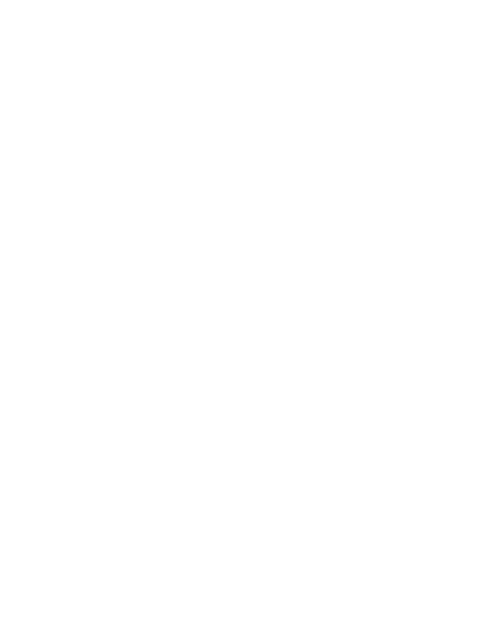 Brand Bird